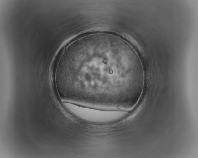 X0000111150981200907071105