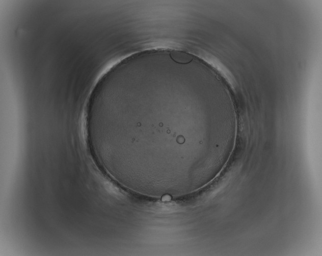X0000111150983200907071105