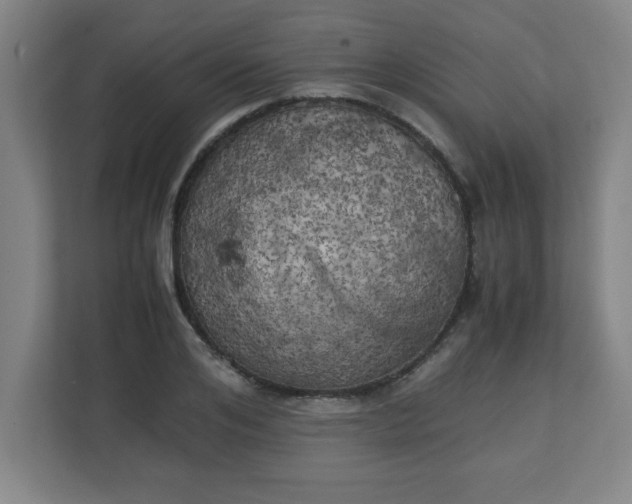 X0000111150984200907071105