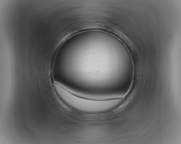 X0000111150985200907071105
