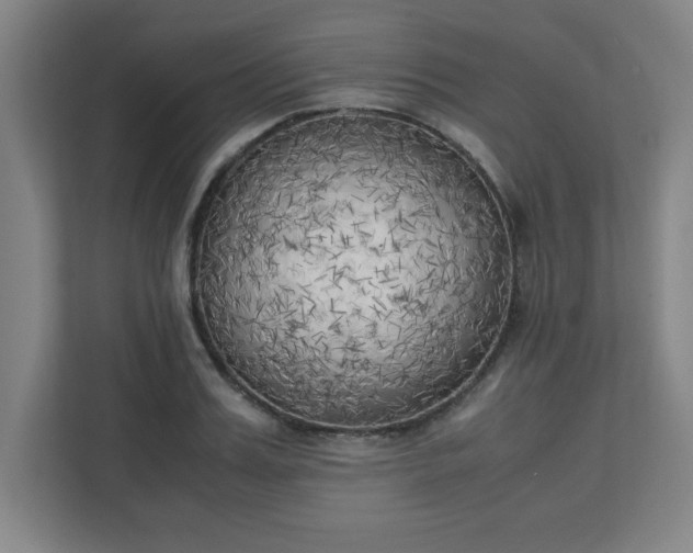 X0000111150987200907071105
