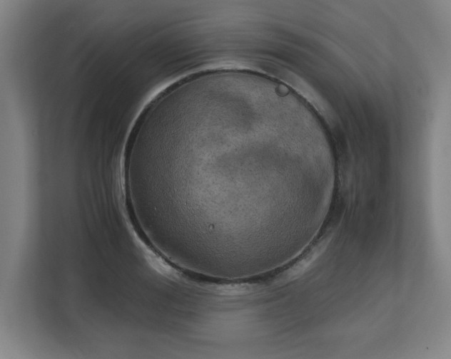 X0000111150988200907071105