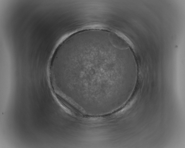X0000111150989200907071105