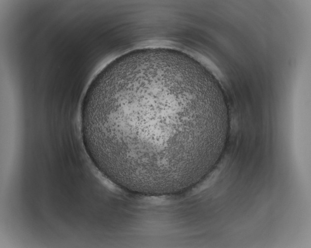 X0000111150990200907071105