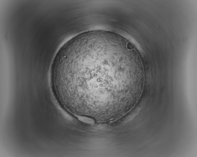 X0000111150991200907071105