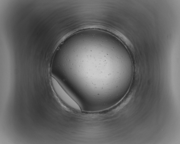 X0000111150993200907071105