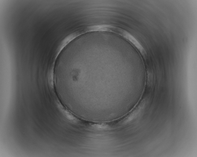 X0000111150994200907071105