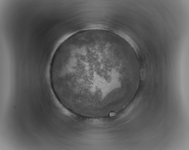 X0000111150995200907071105