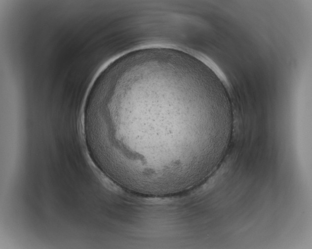 X0000111150996200907071105