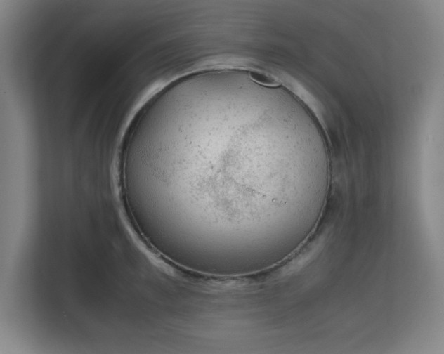 X0000111150997200907071105