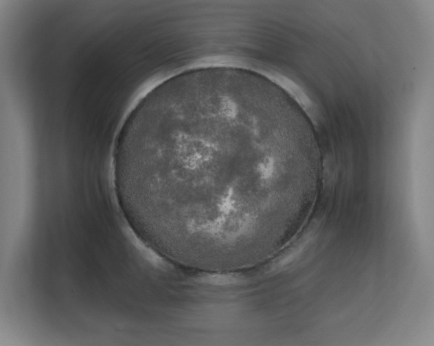 X0000111150998200907071105