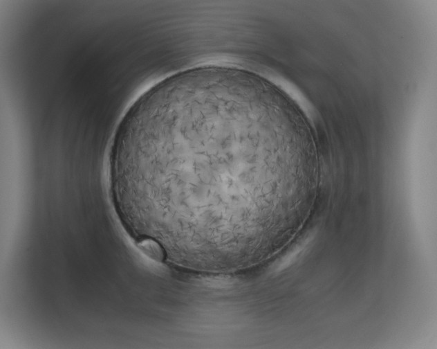 X0000111150999200907071105