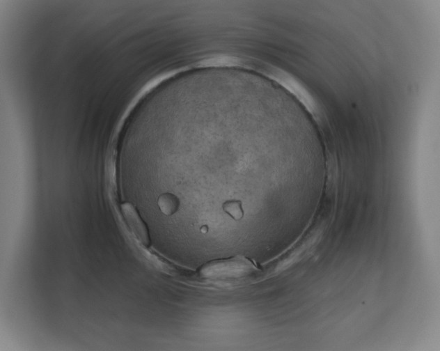X0000111151000200907071105