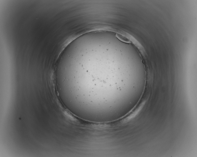 X0000111151001200907071105