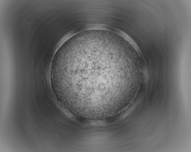 X0000111151002200907071105