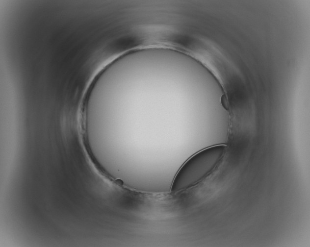 X0000111151003200907071105