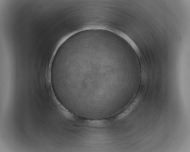 X0000111151004200907071105
