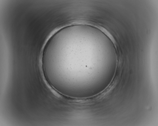 X0000111151005200907071105