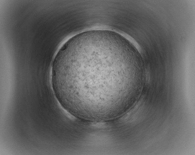 X0000111151006200907071105