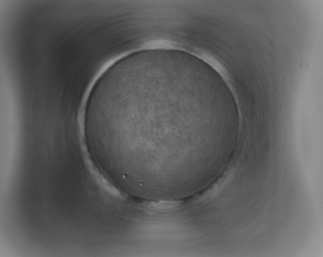 X0000111151008200907071105
