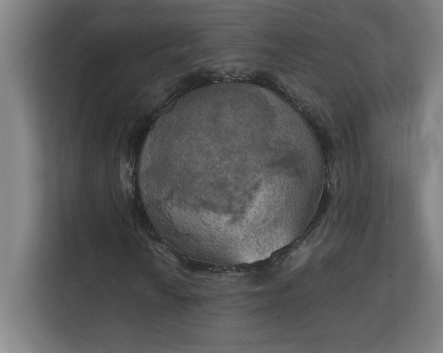 X0000111151010200907071104