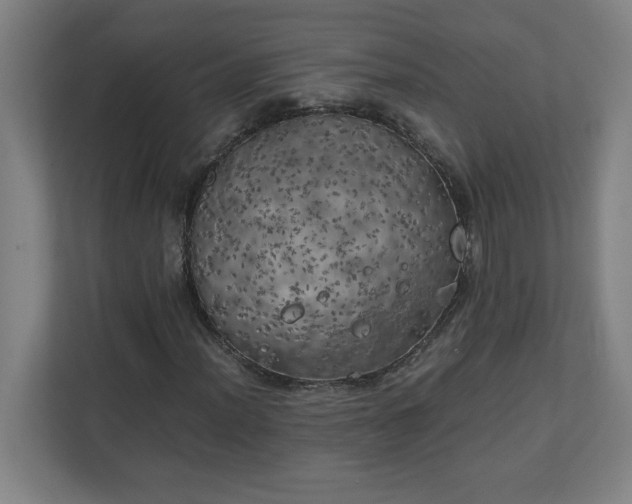 X0000111151012200907071104