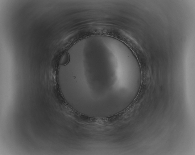 X0000111151013200907071104