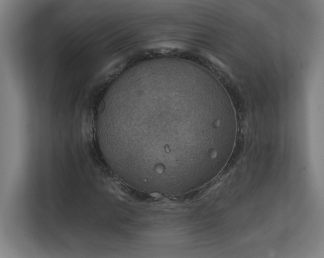 X0000111151014200907071104