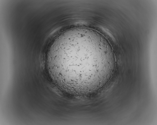 X0000111151015200907071104