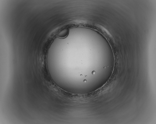 X0000111151016200907071104