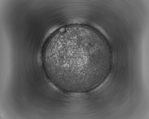 X0000111151018200907071105