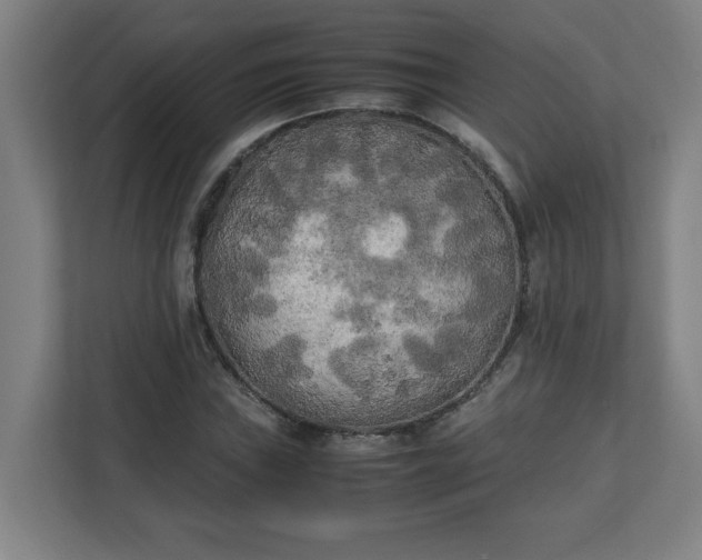 X0000111151019200907071105