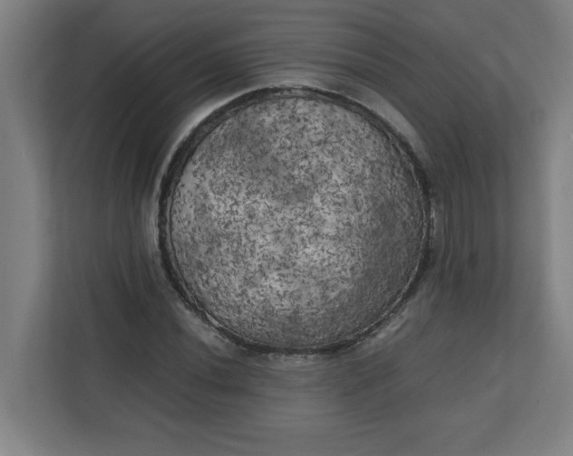 X0000111151020200907071105