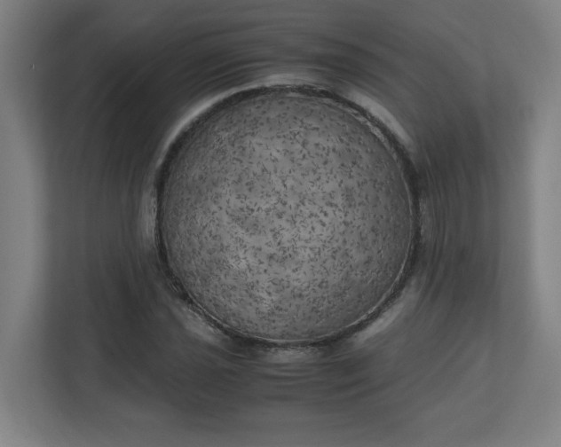 X0000111151021200907071105