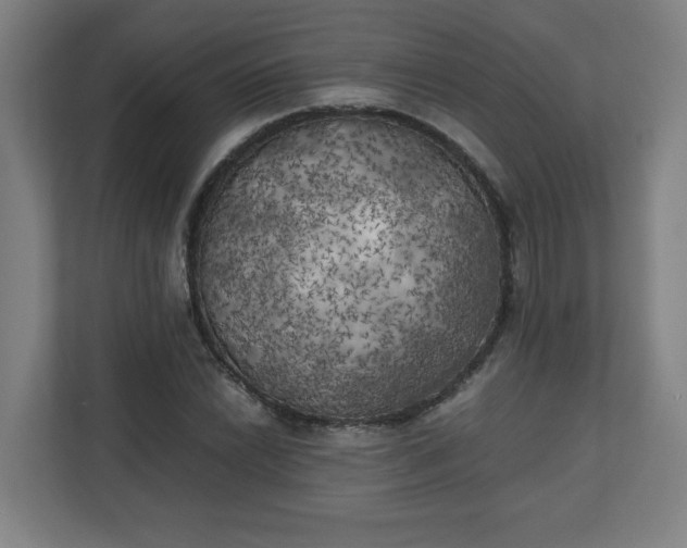 X0000111151022200907071105