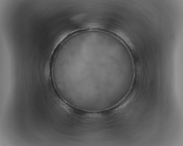 X0000111151023200907071105