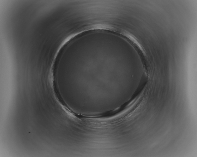 X0000111151024200907071105