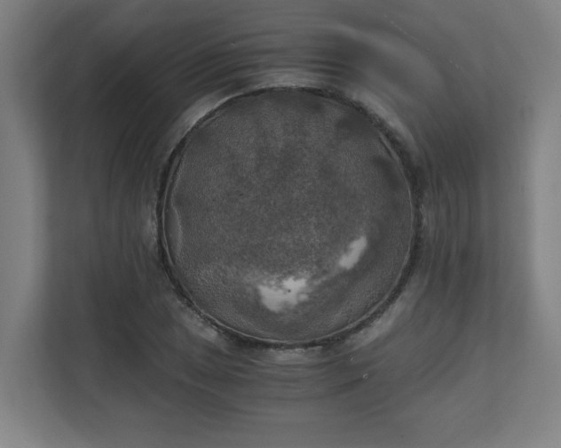 X0000111151025200907071105