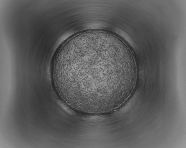 X0000111151026200907071105