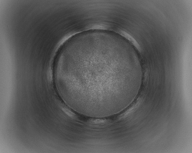 X0000111151027200907071105