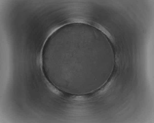 X0000111151028200907071105