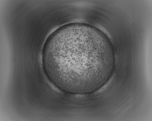 X0000111151029200907071105