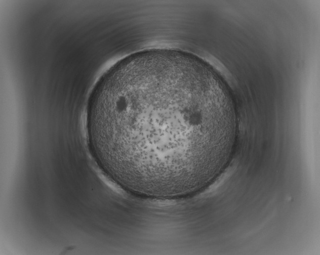 X0000111151030200907071105
