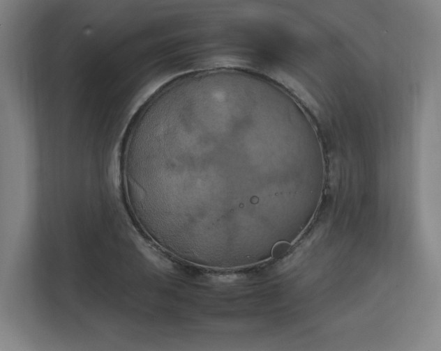 X0000111151031200907071105