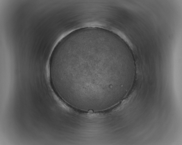 X0000111151032200907071105