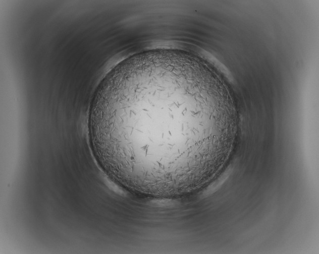 X0000111151033200907071105