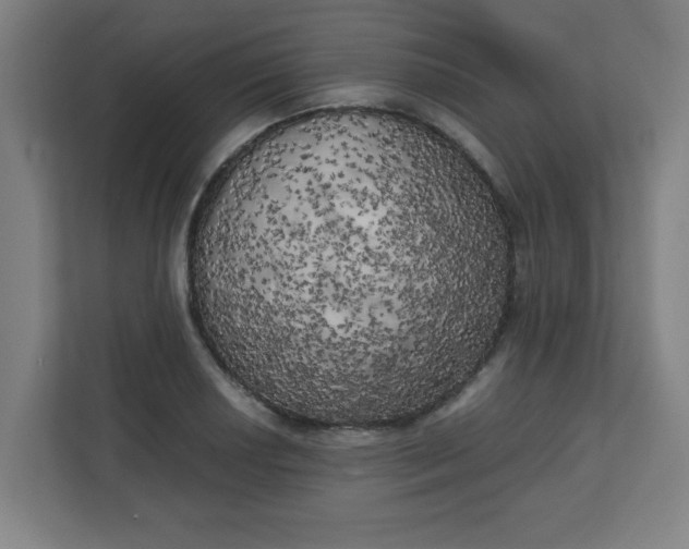 X0000111151034200907071105