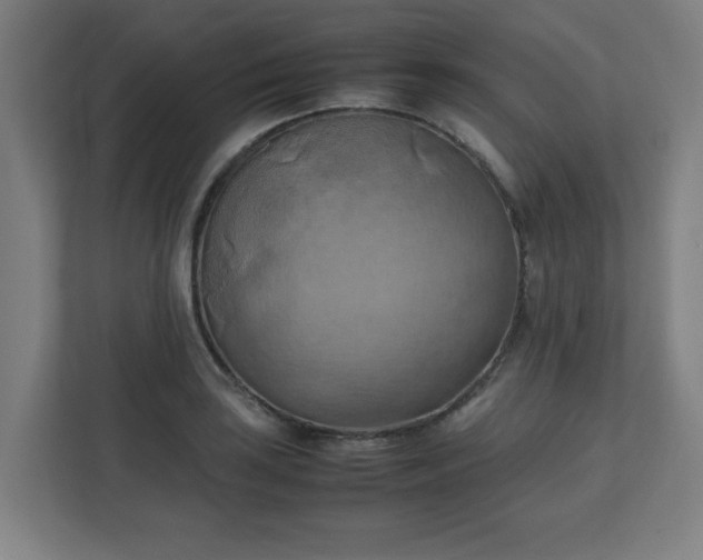 X0000111151035200907071105