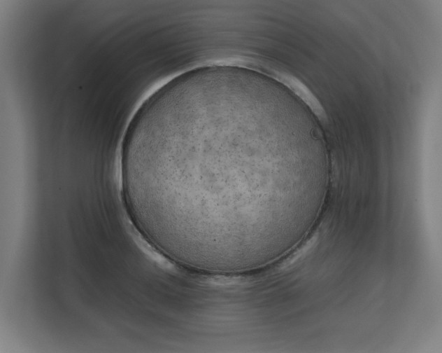 X0000111151036200907071105