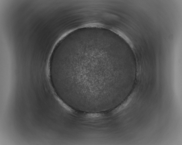 X0000111151037200907071105